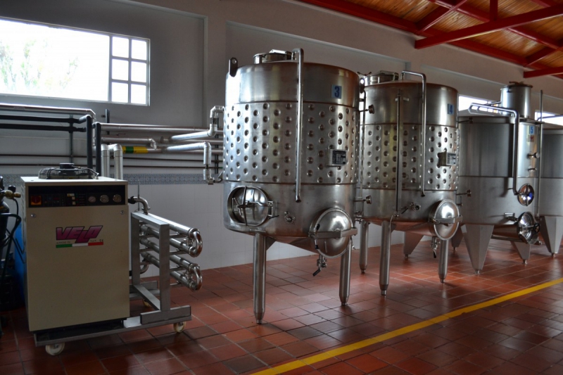 cave-VALBONNE-min_wine_production_cantine_winery_drink_alcohol_vine_beverage-902036